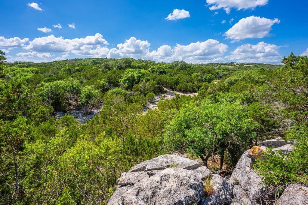 100 acres in Real County - photo 5