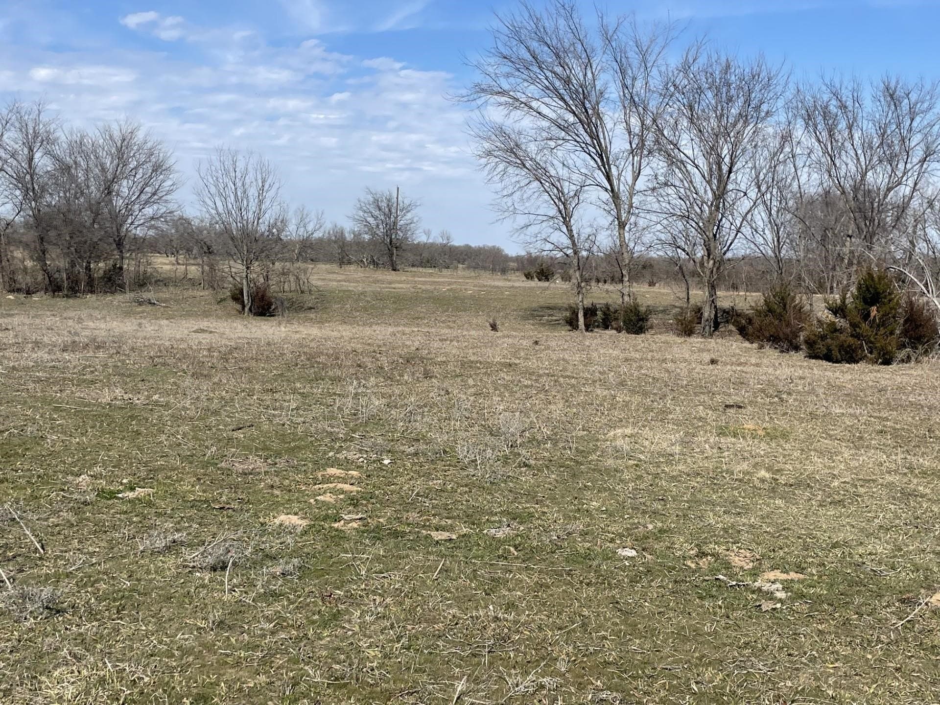 292 acres in Montague County - photo 6