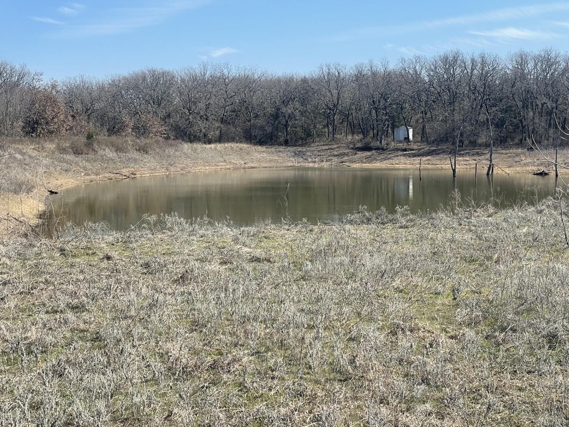 292 acres in Montague County - photo 7