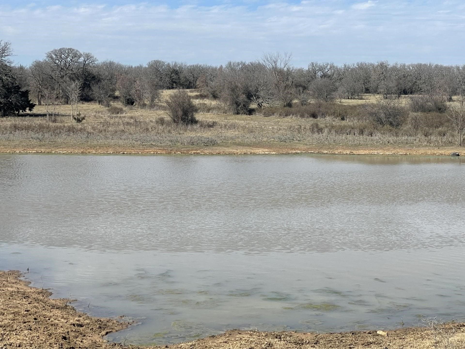 292 acres in Montague County - photo 10