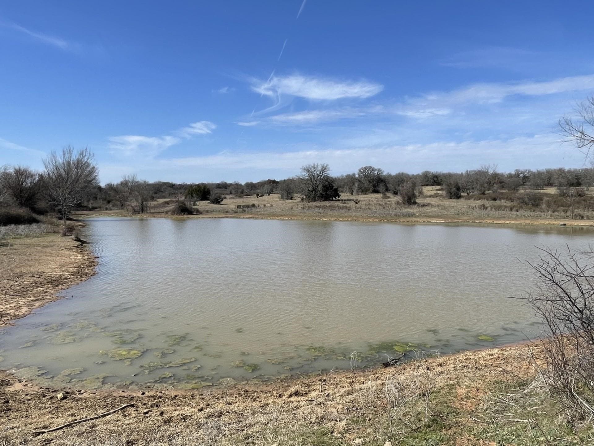 292 acres in Montague County - photo 11