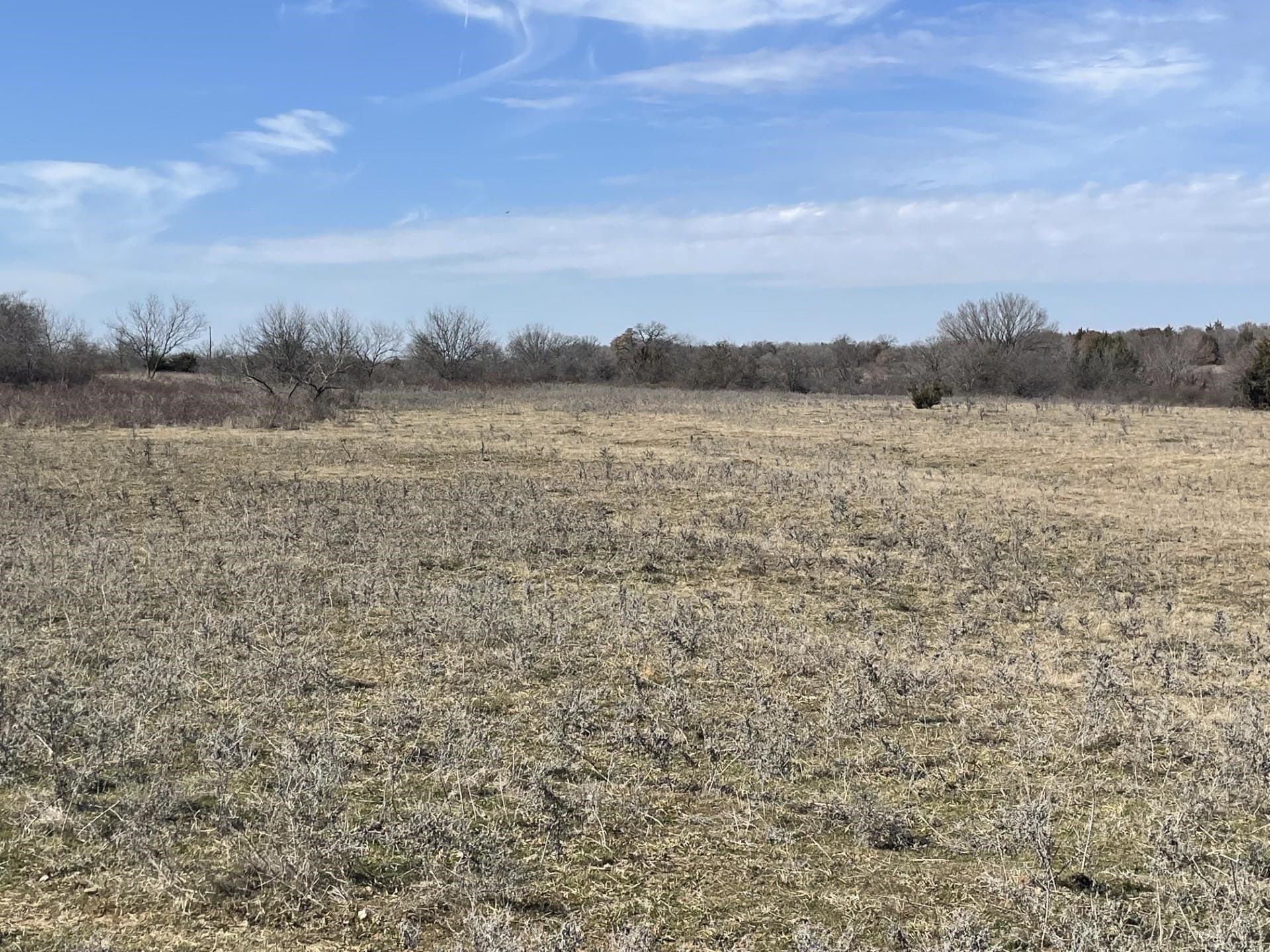 292 acres in Montague County - photo 8