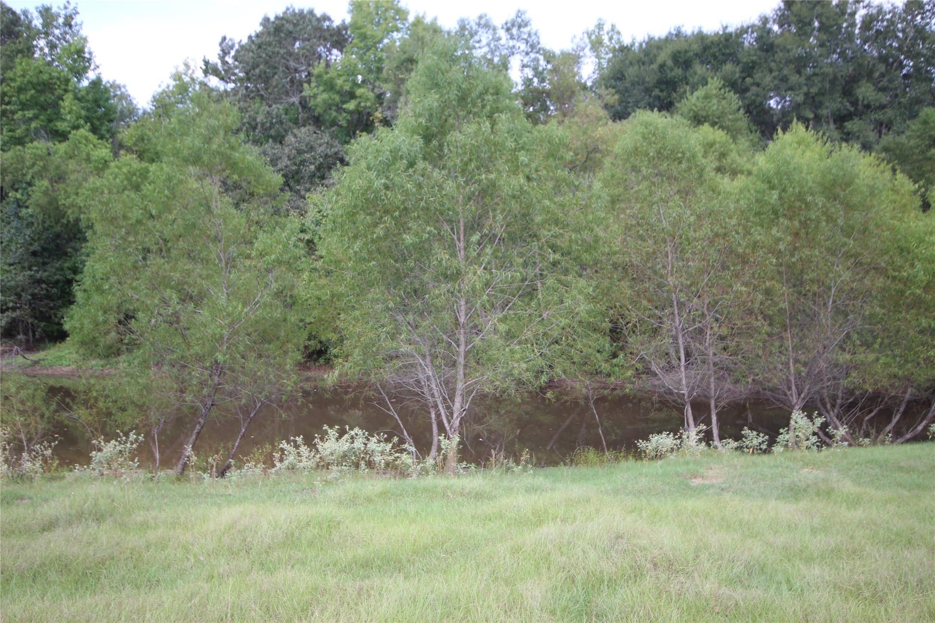 82.71 acres in Anderson County - photo 9