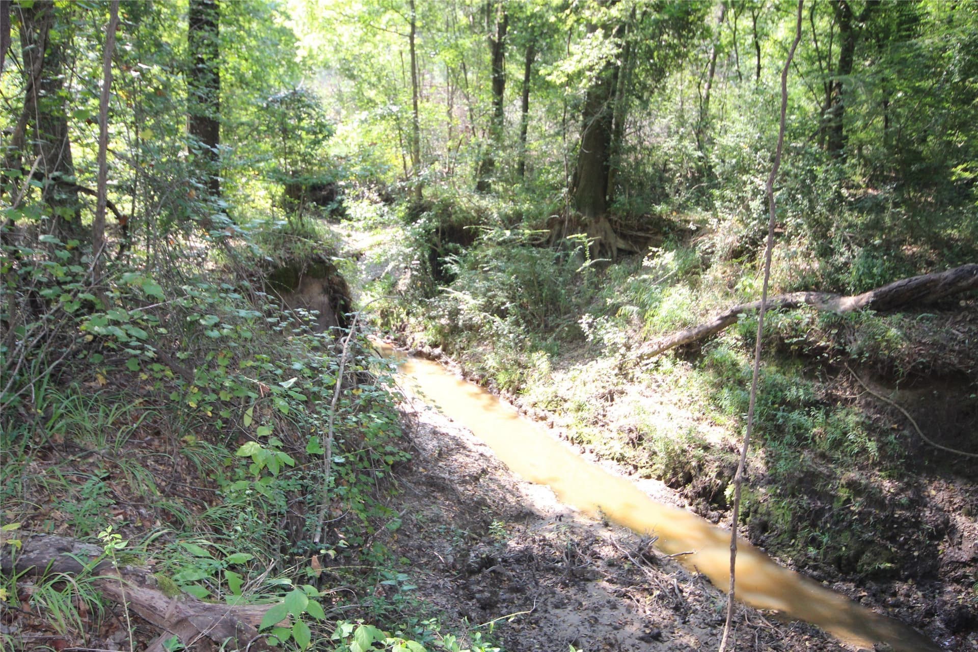 82.71 acres in Anderson County - photo 19
