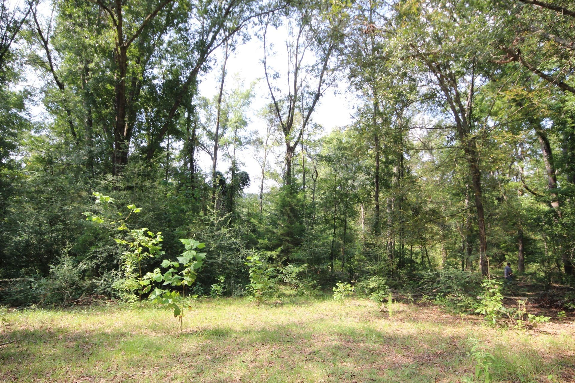 82.71 acres in Anderson County - photo 21