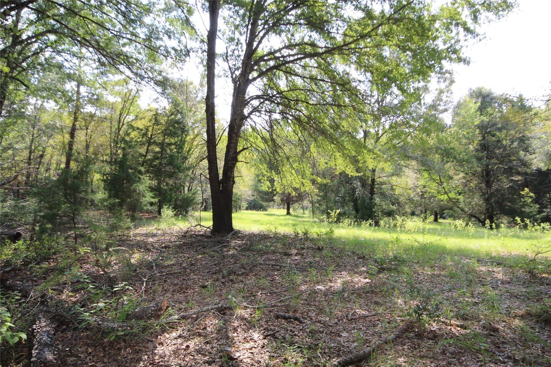 82.71 acres in Anderson County - photo 34