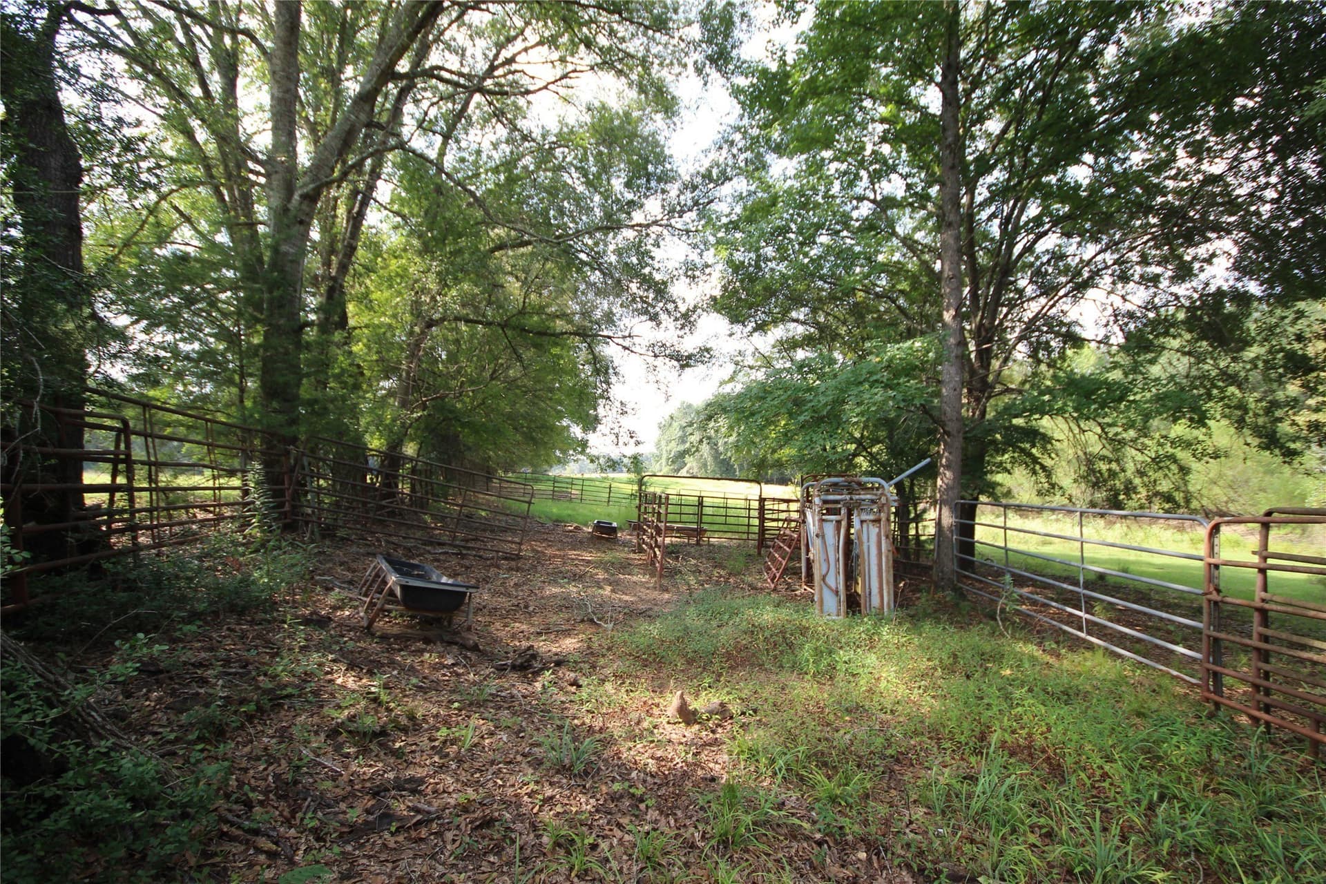 82.71 acres in Anderson County - photo 3