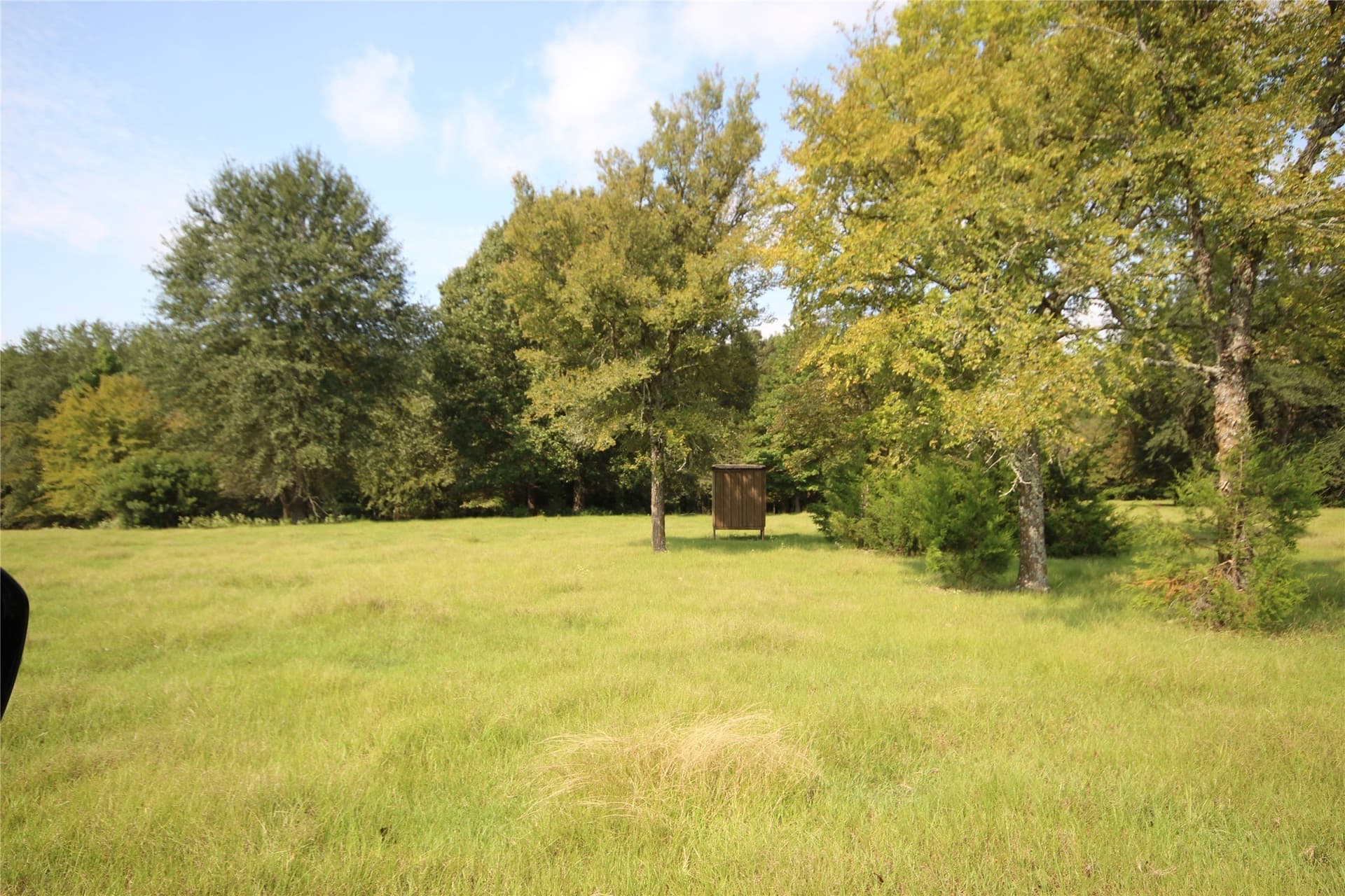 82.71 acres in Anderson County - photo 32