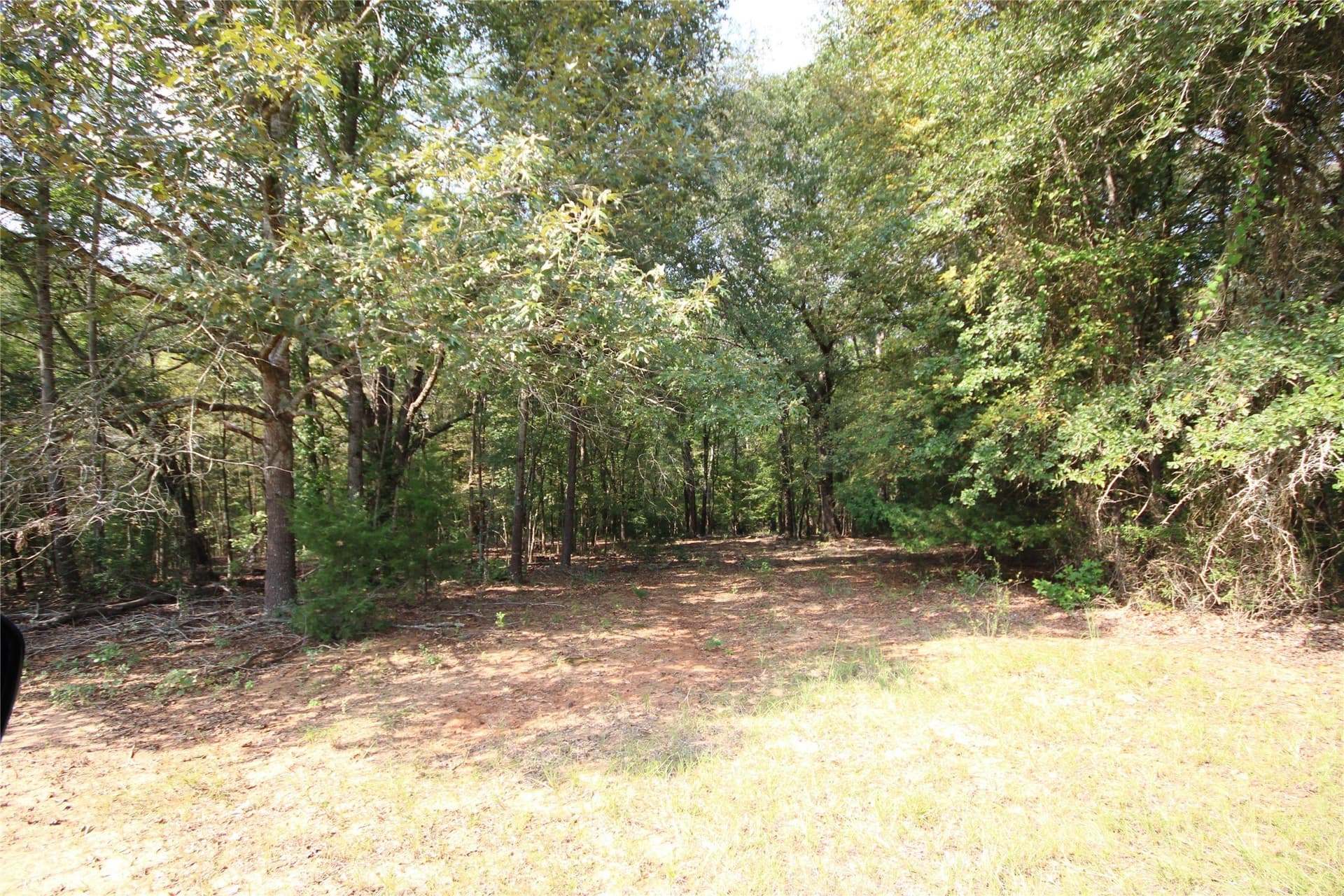 82.71 acres in Anderson County - photo 26
