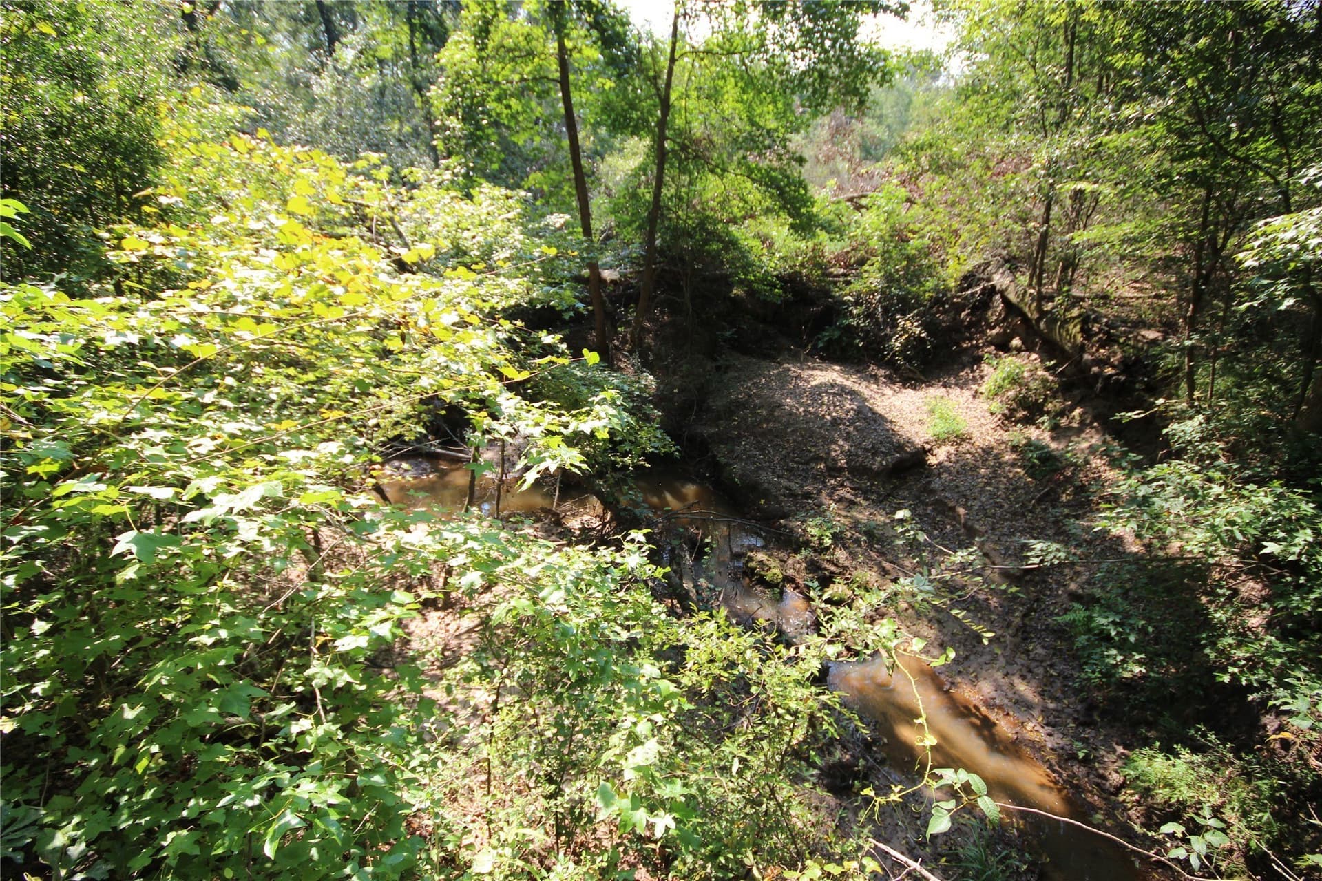 82.71 acres in Anderson County - photo 18