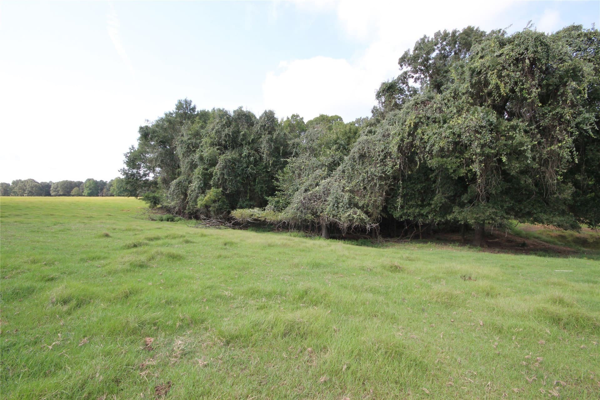 82.71 acres in Anderson County - photo 8