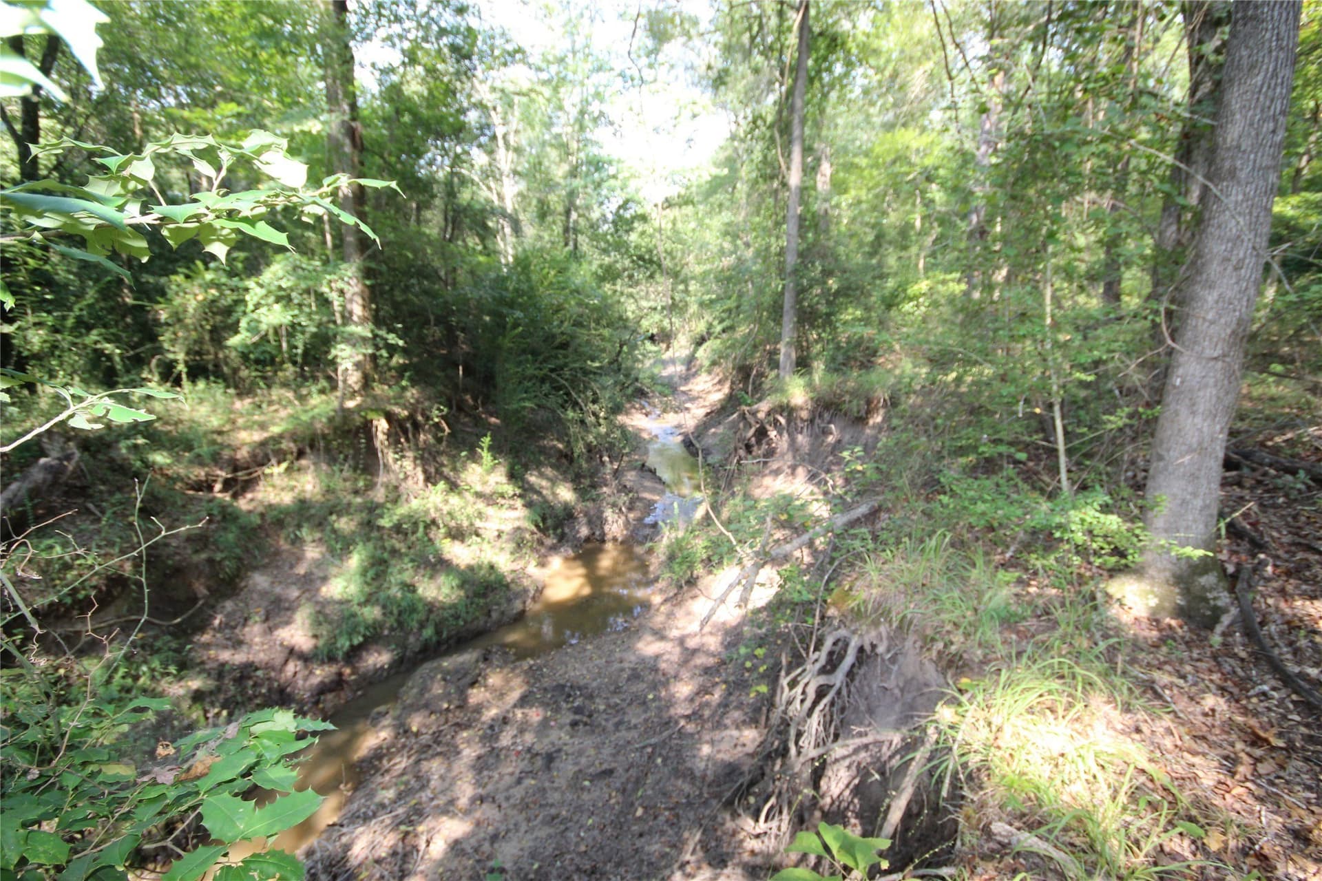 82.71 acres in Anderson County - photo 15