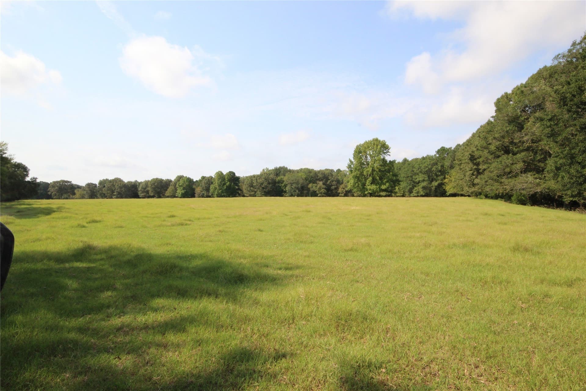 82.71 acres in Anderson County - photo 28