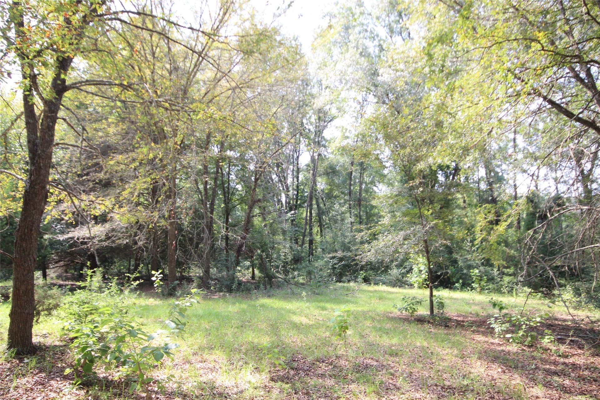 82.71 acres in Anderson County - photo 23