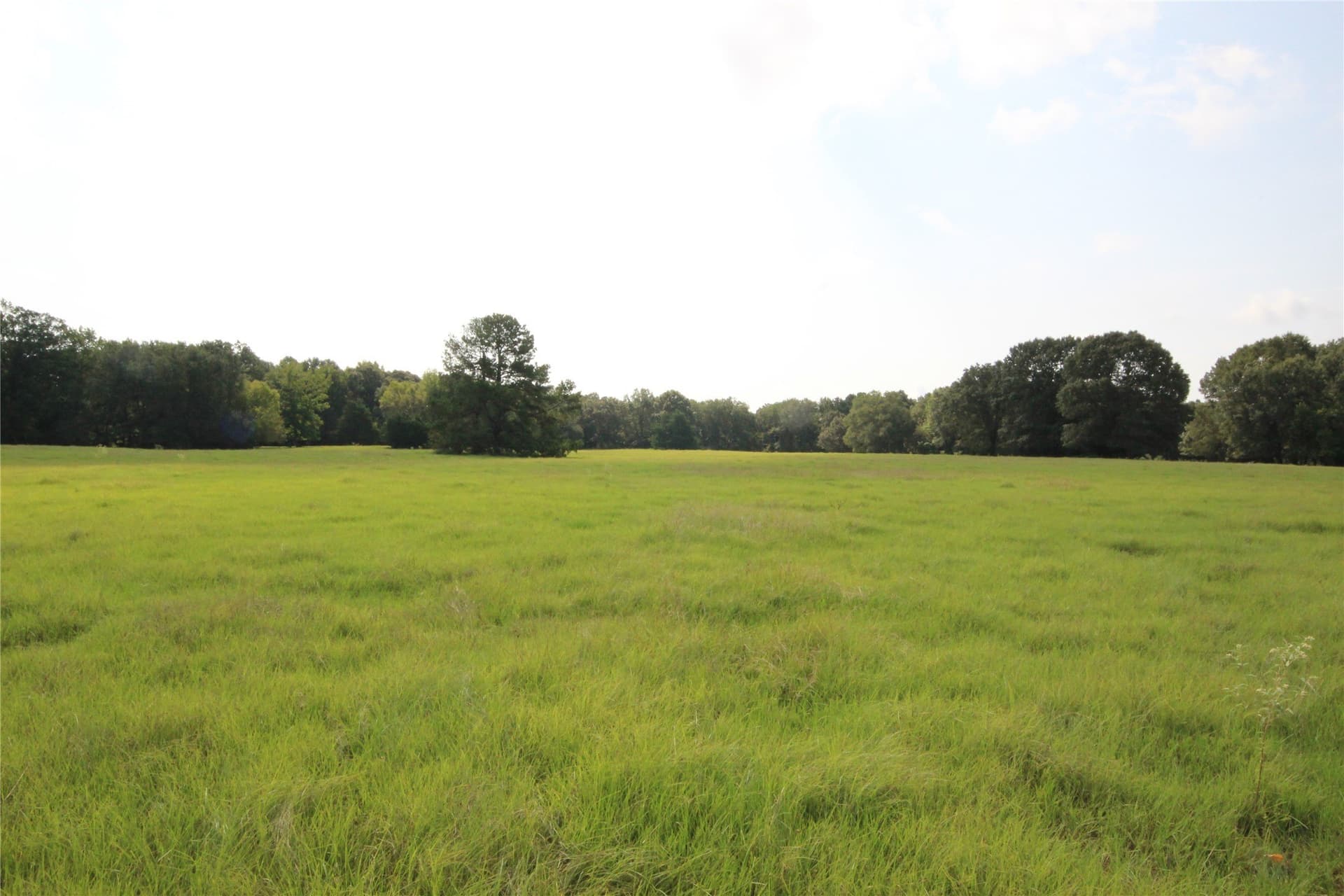 82.71 acres in Anderson County - photo 29