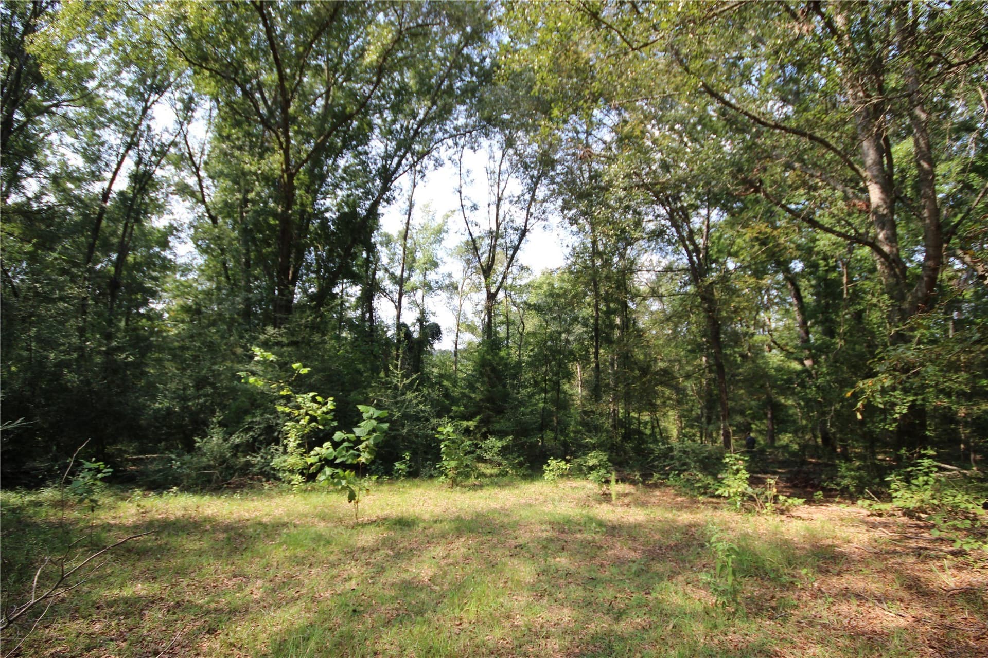 82.71 acres in Anderson County - photo 20