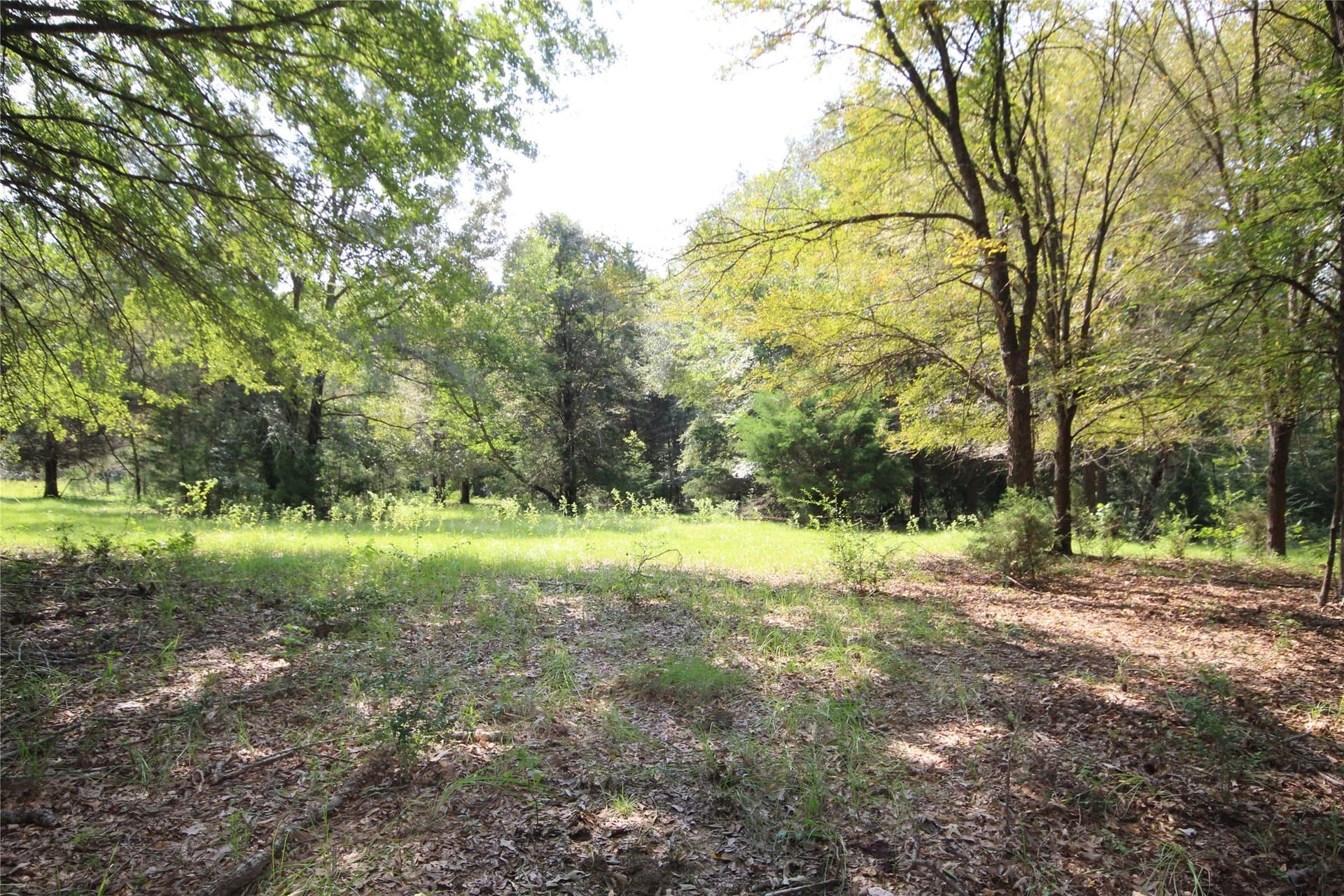 82.71 acres in Anderson County - photo 33