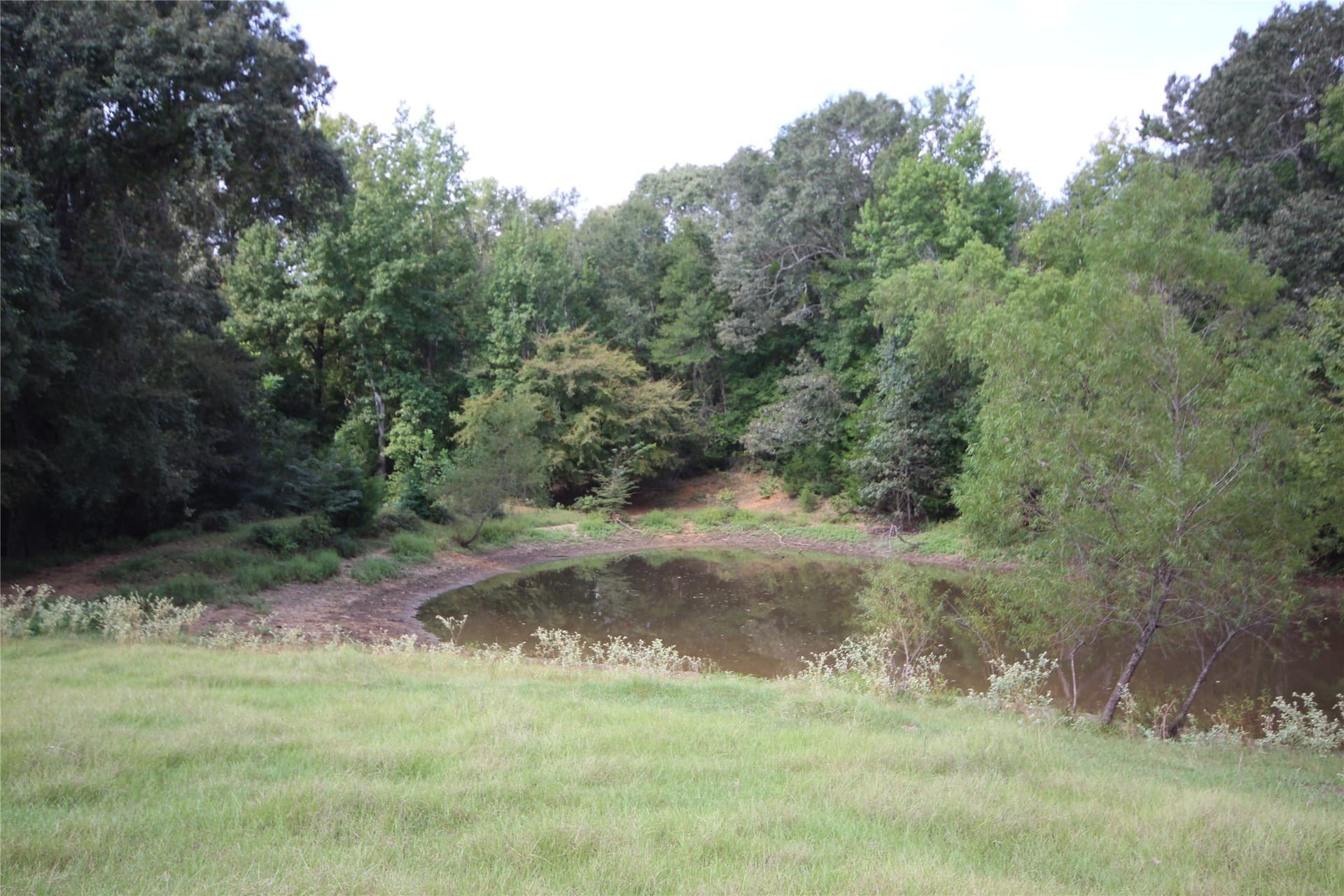 82.71 acres in Anderson County - photo 5