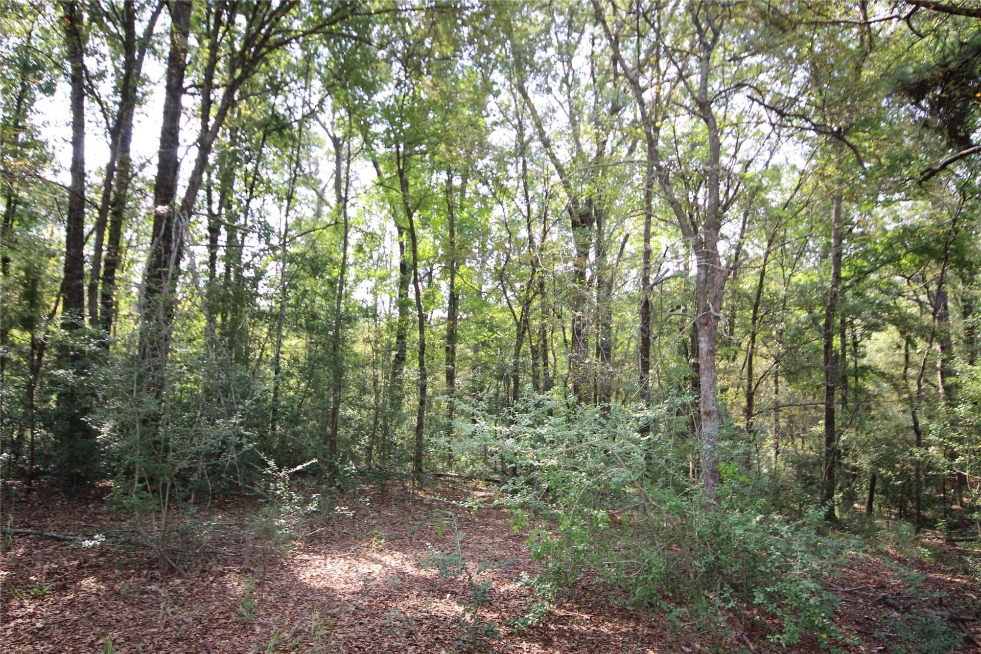 82.71 acres in Anderson County - photo 25