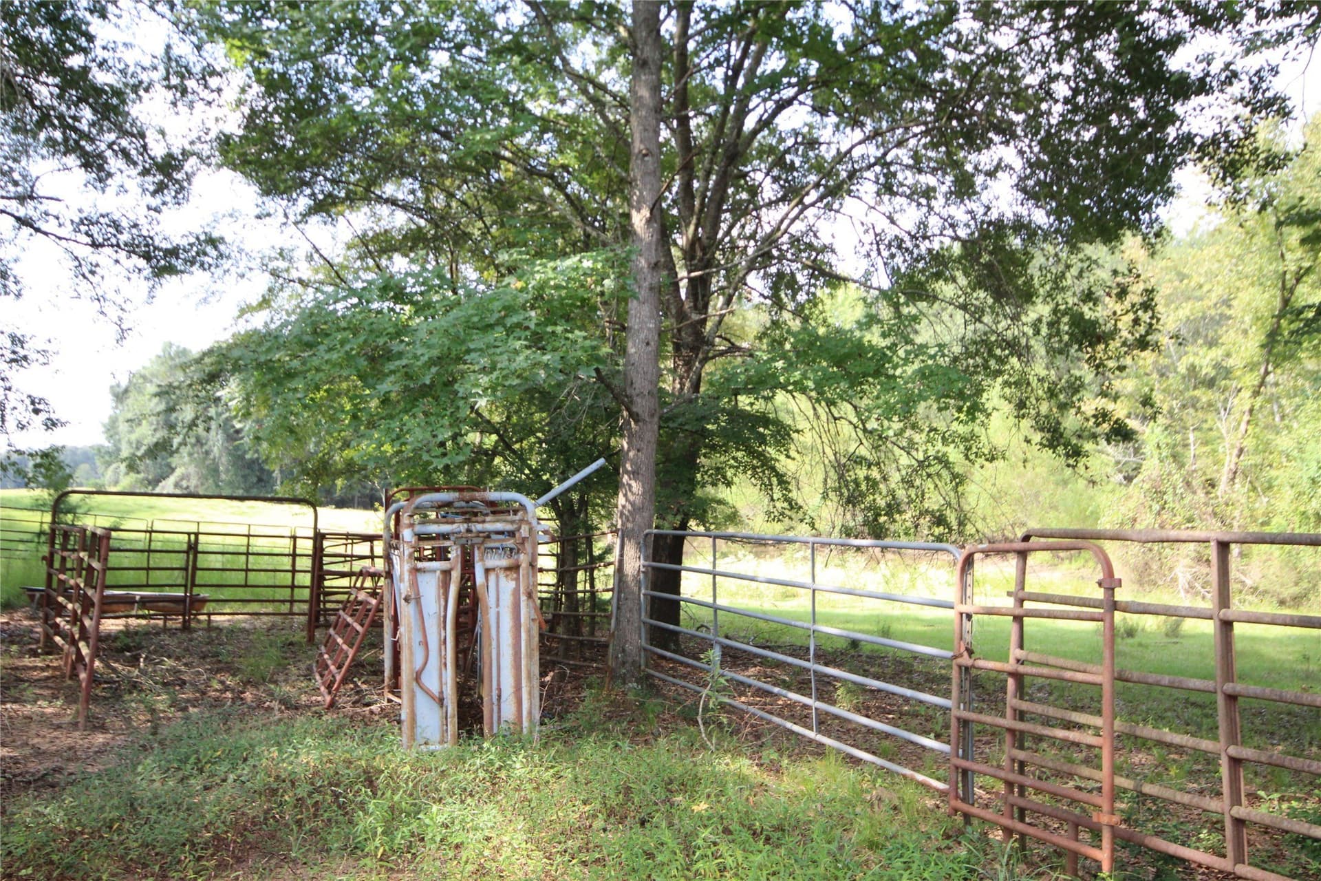 82.71 acres in Anderson County - photo 7