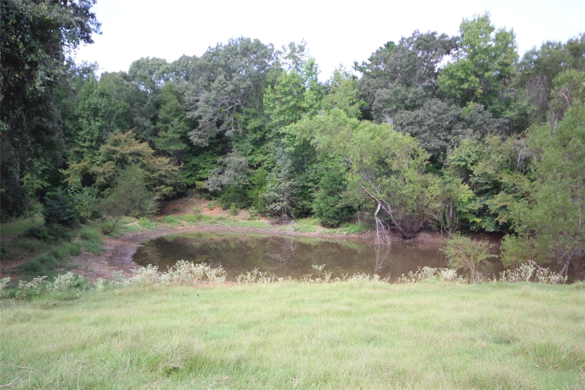 82.71 acres in Anderson County - photo 10