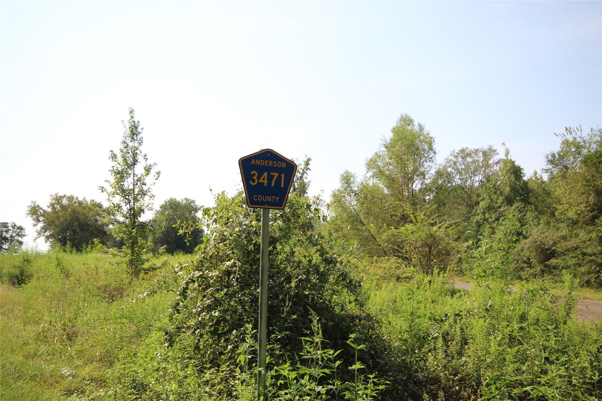82.71 acres in Anderson County - photo 12