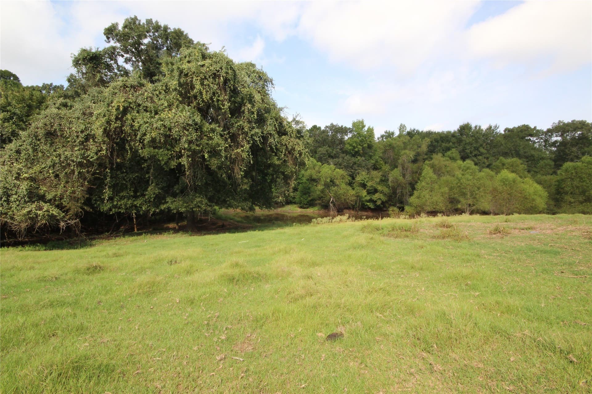 82.71 acres in Anderson County - photo 11