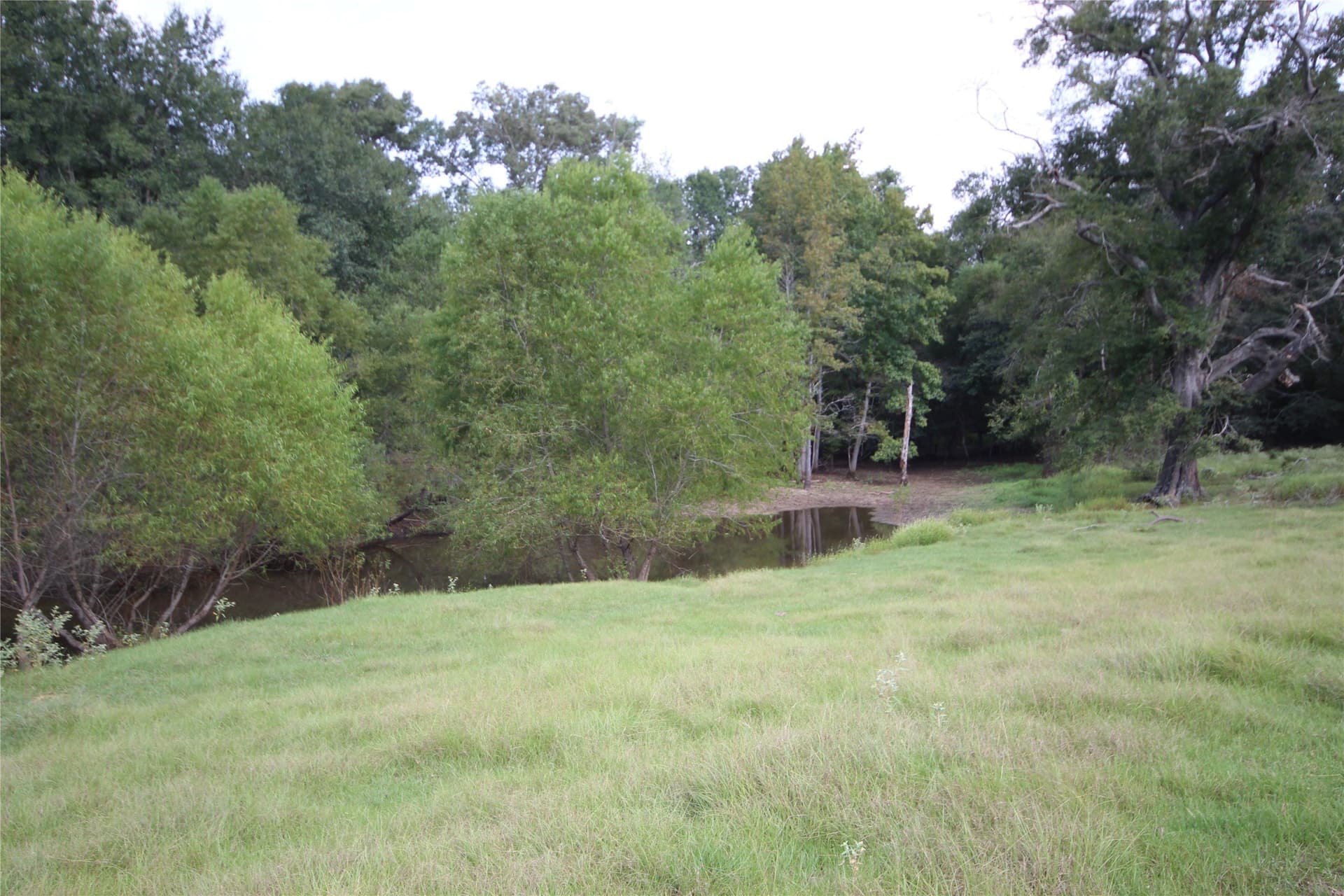 82.71 acres in Anderson County - photo 27