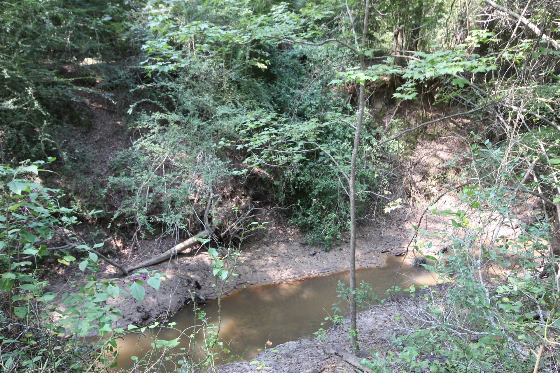 82.71 acres in Anderson County