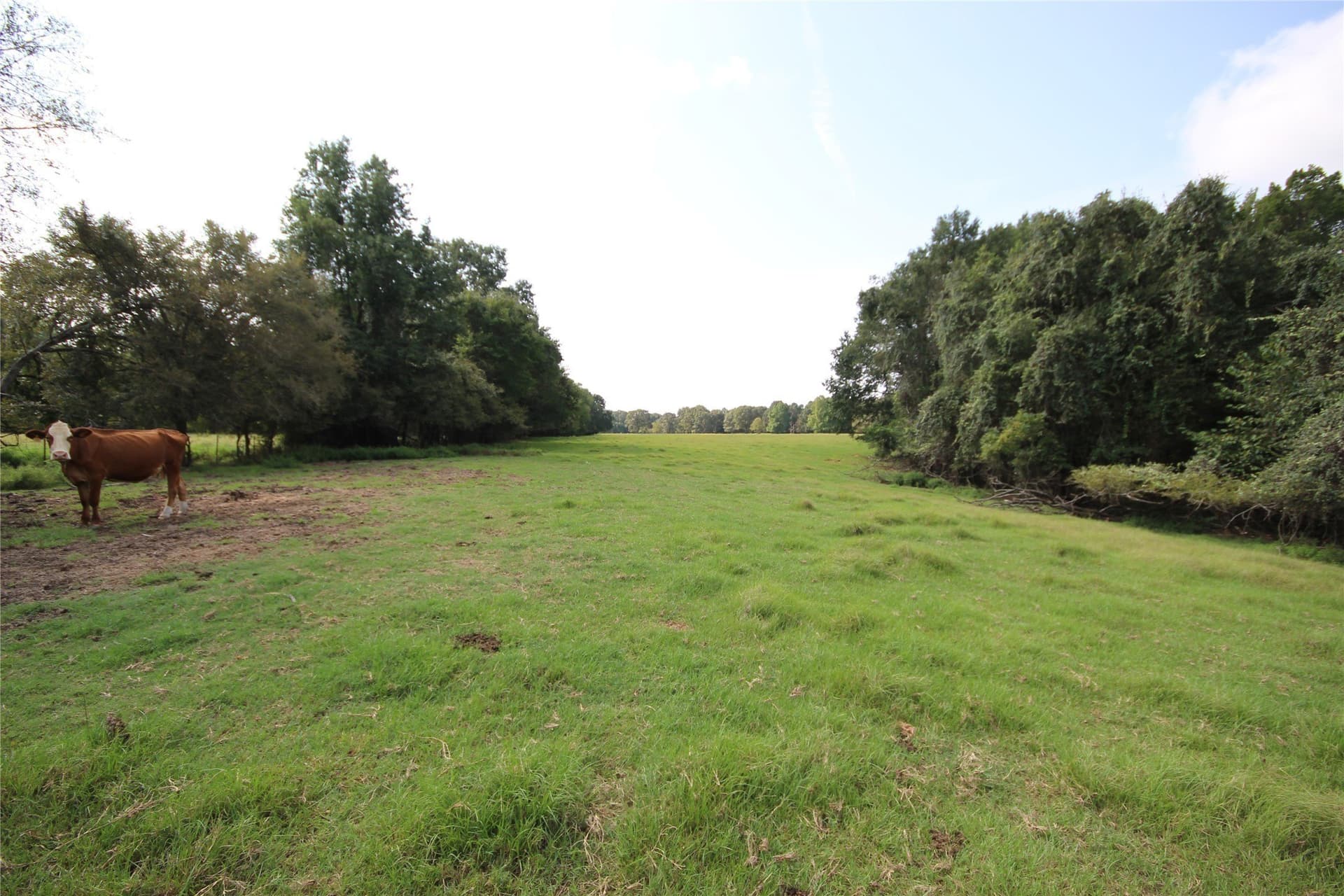 82.71 acres in Anderson County - photo 4