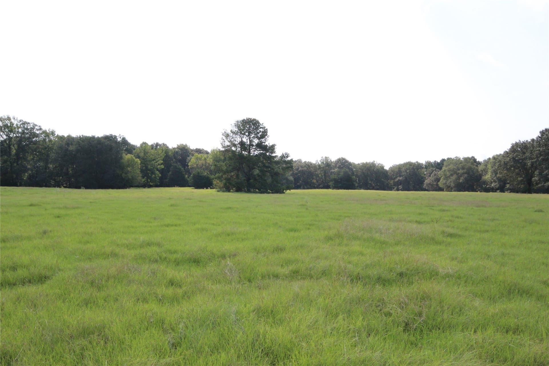 82.71 acres in Anderson County - photo 30