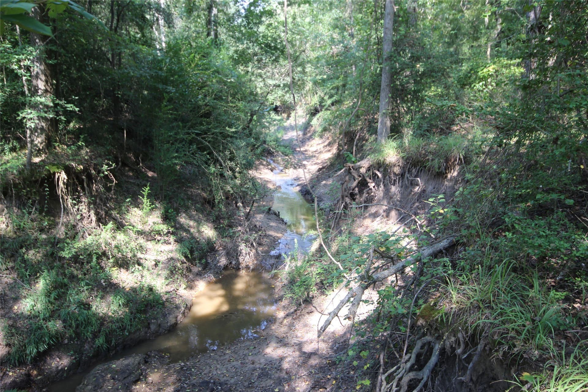 82.71 acres in Anderson County - photo 14