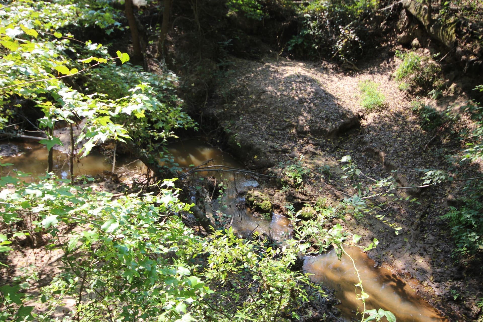 82.71 acres in Anderson County - photo 13