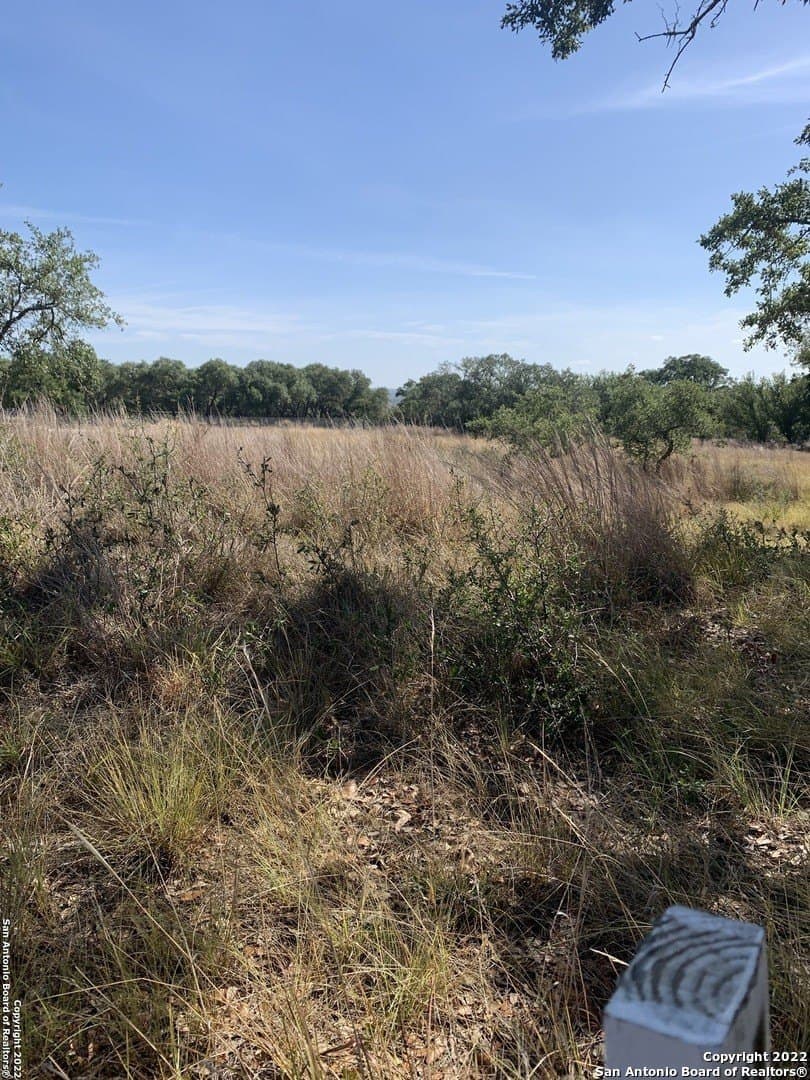 1.84 acres in Comal County - photo 15