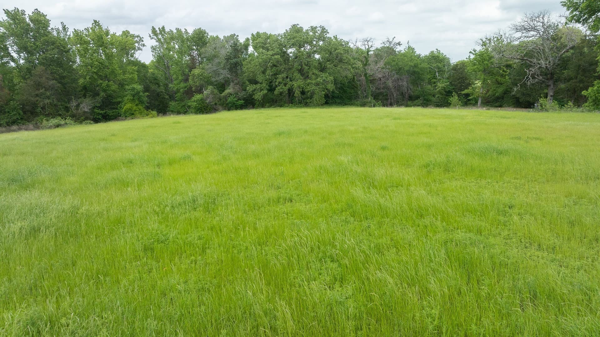 110 acres in Anderson County - photo 14
