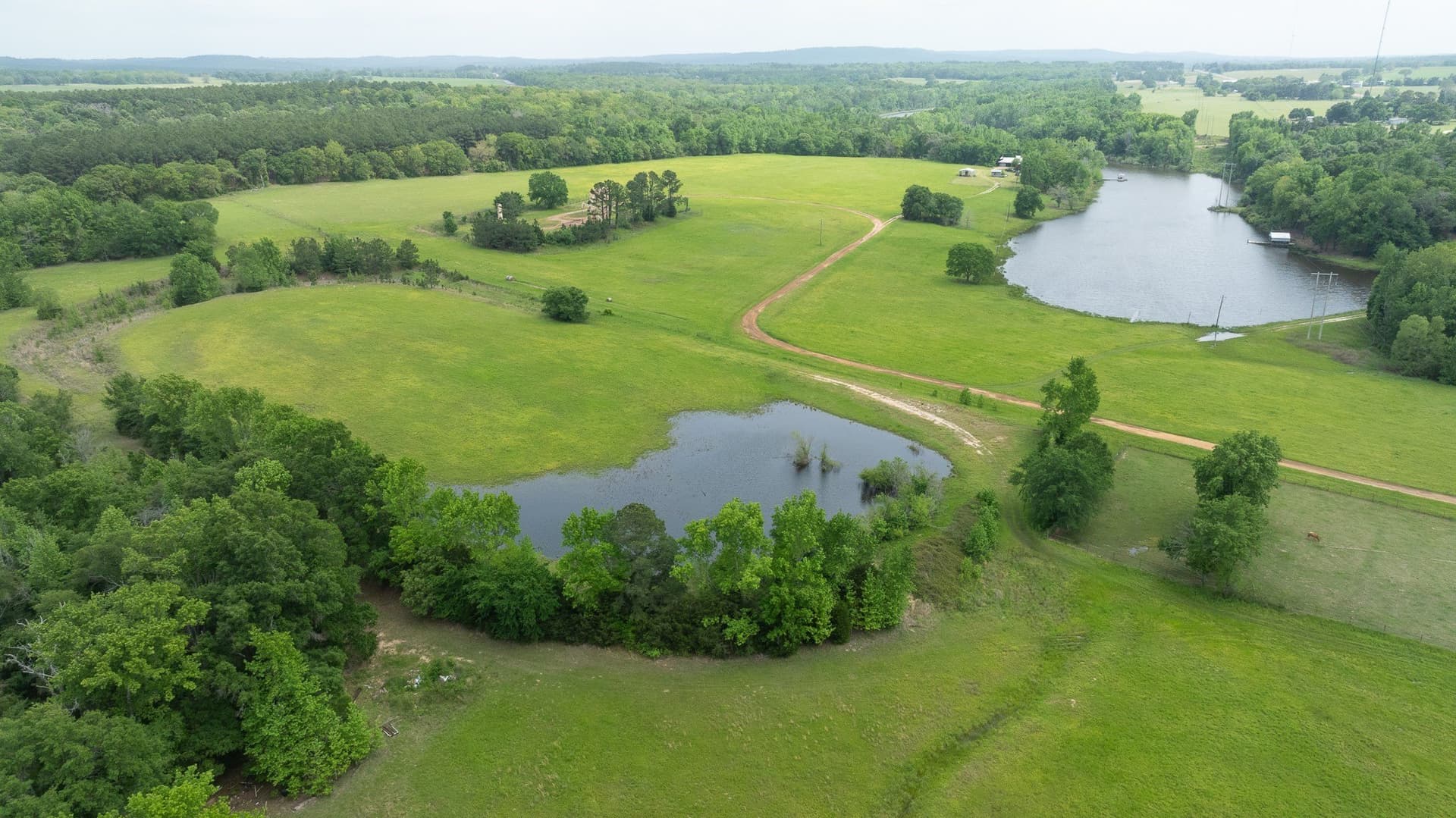 110 acres in Anderson County - photo 8