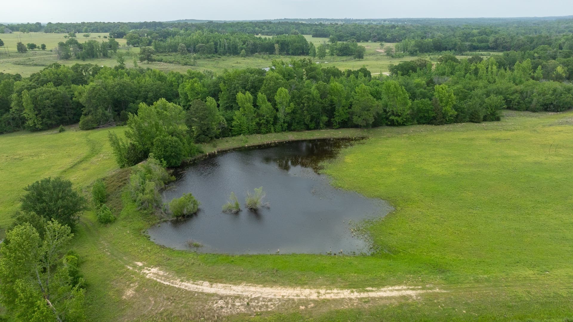 110 acres in Anderson County - photo 13