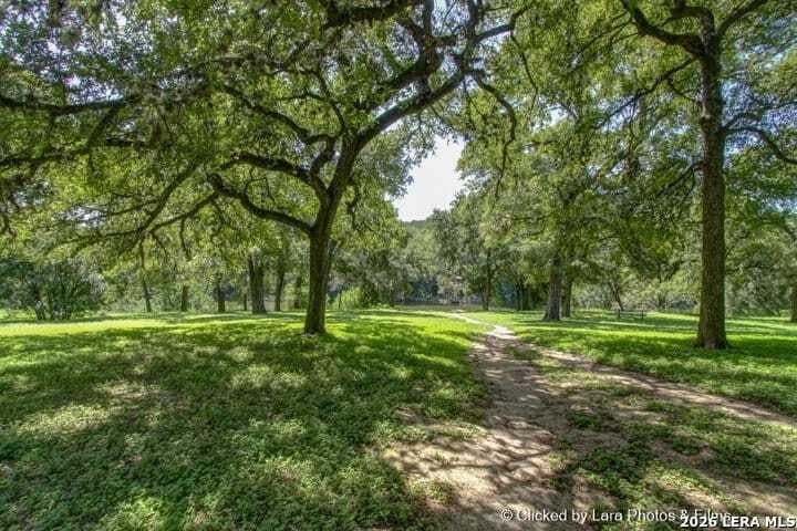 1.64 acres in Comal County - photo 15