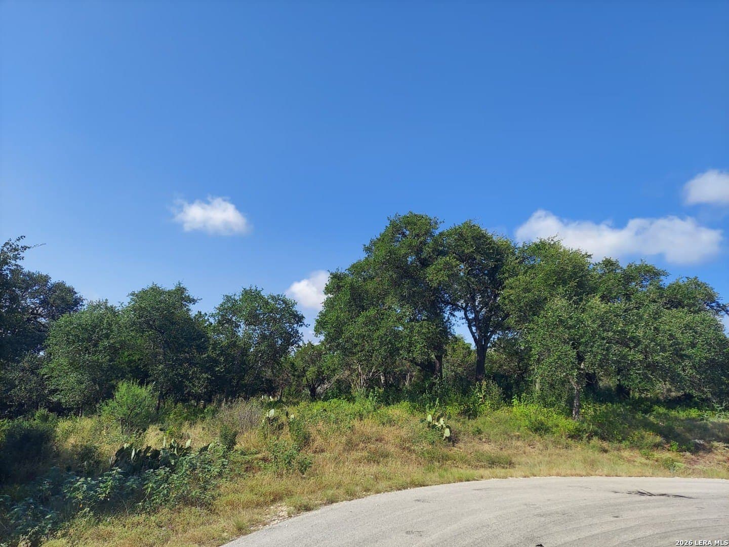 1.64 acres in Comal County - photo 4