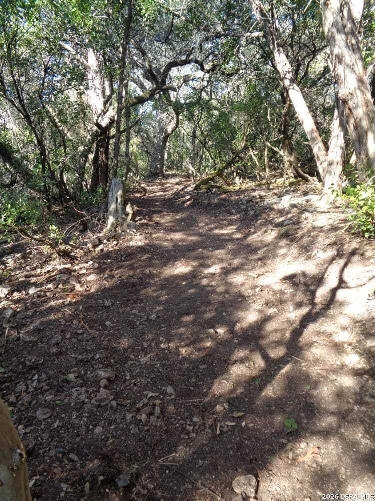 1.64 acres in Comal County - photo 13