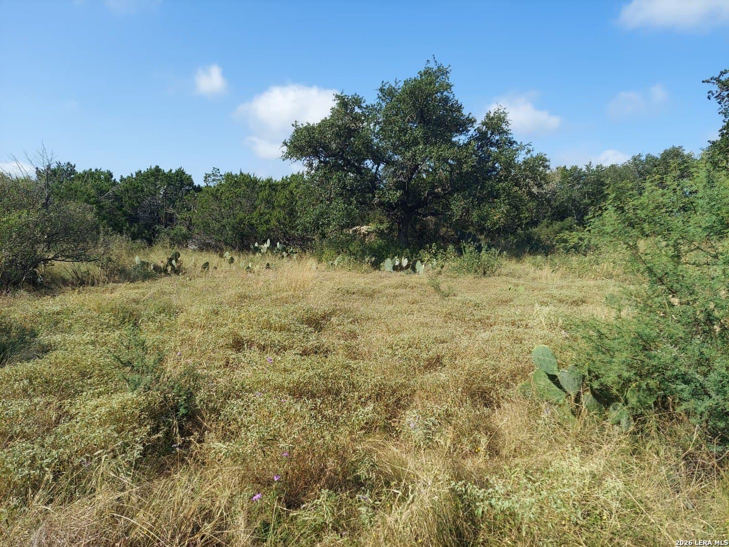 1.64 acres in Comal County - photo 3
