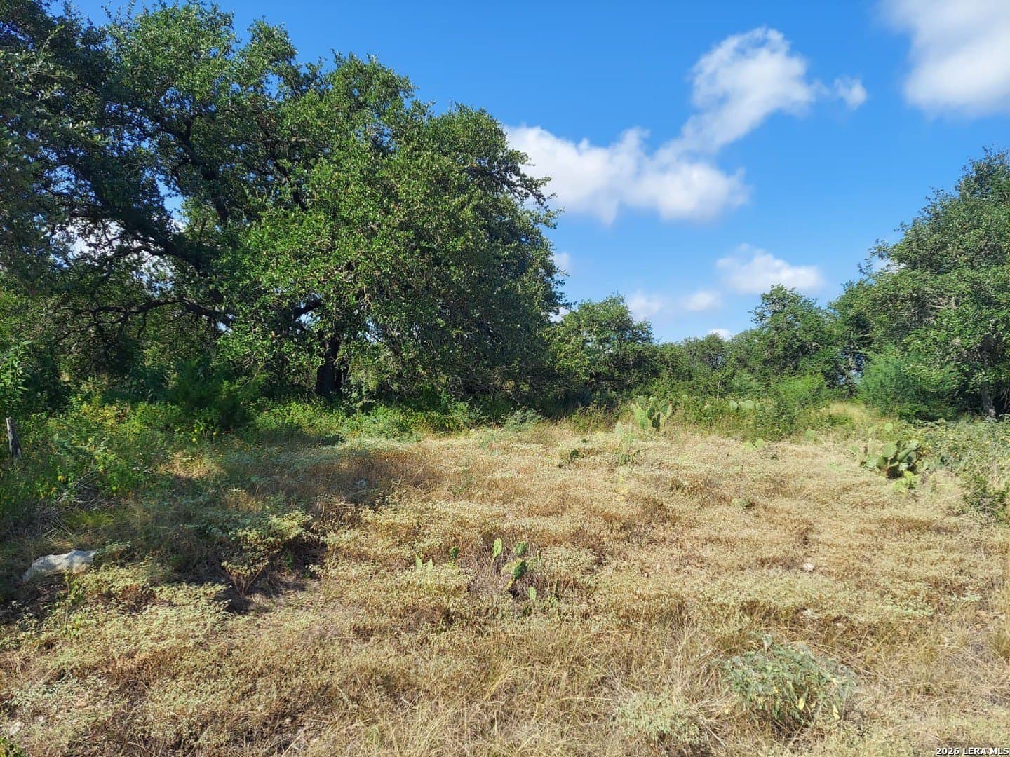 1.64 acres in Comal County - photo 2