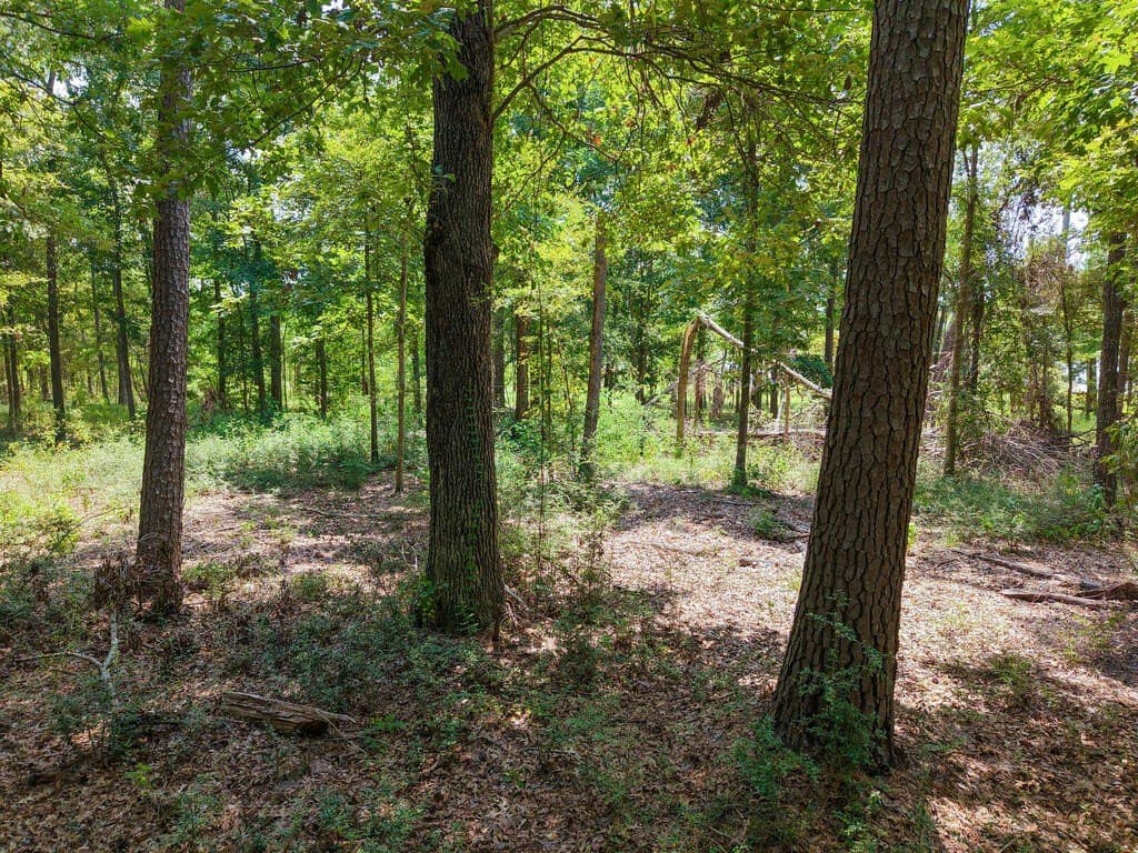 1.15 acres in Texas County - photo 7