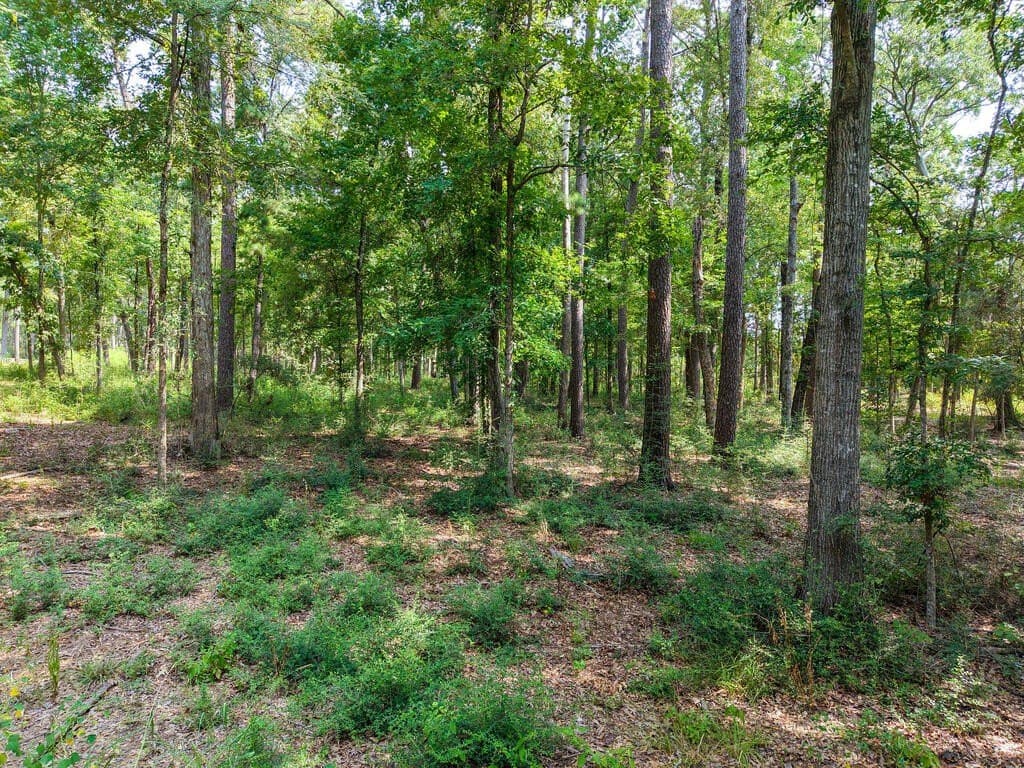 1.15 acres in Texas County - photo 4