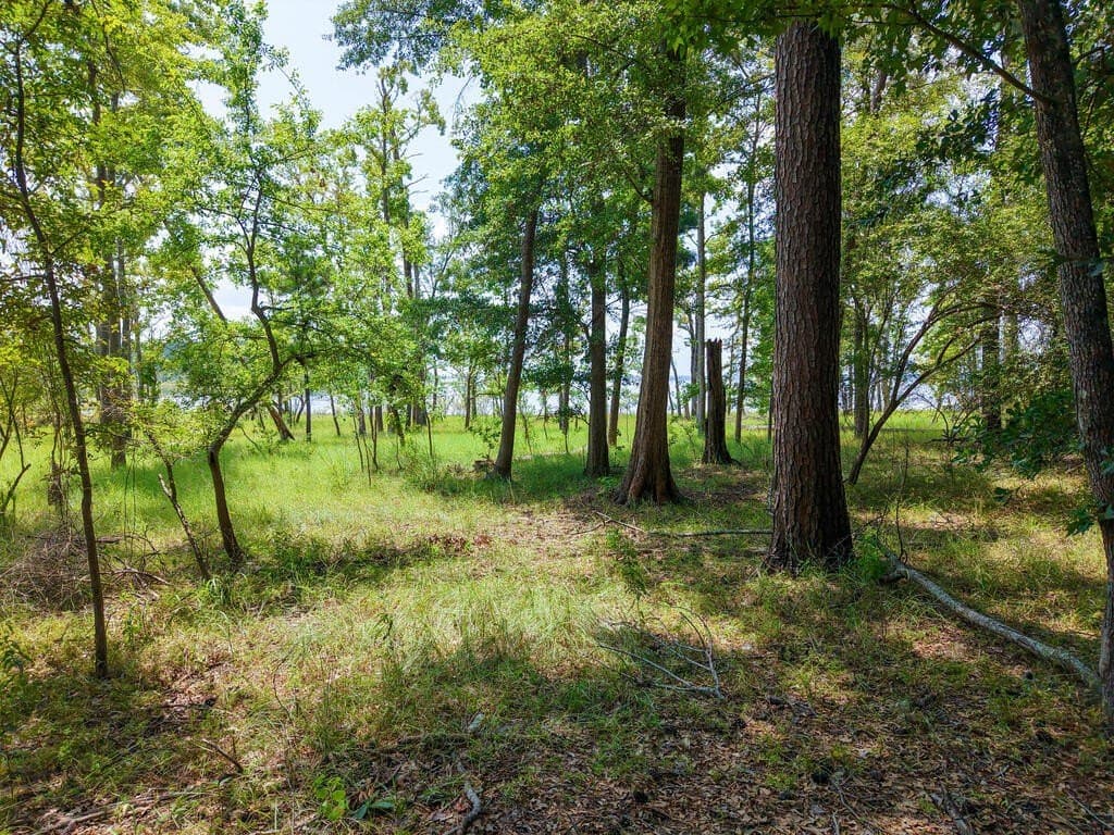 1.15 acres in Texas County - photo 5