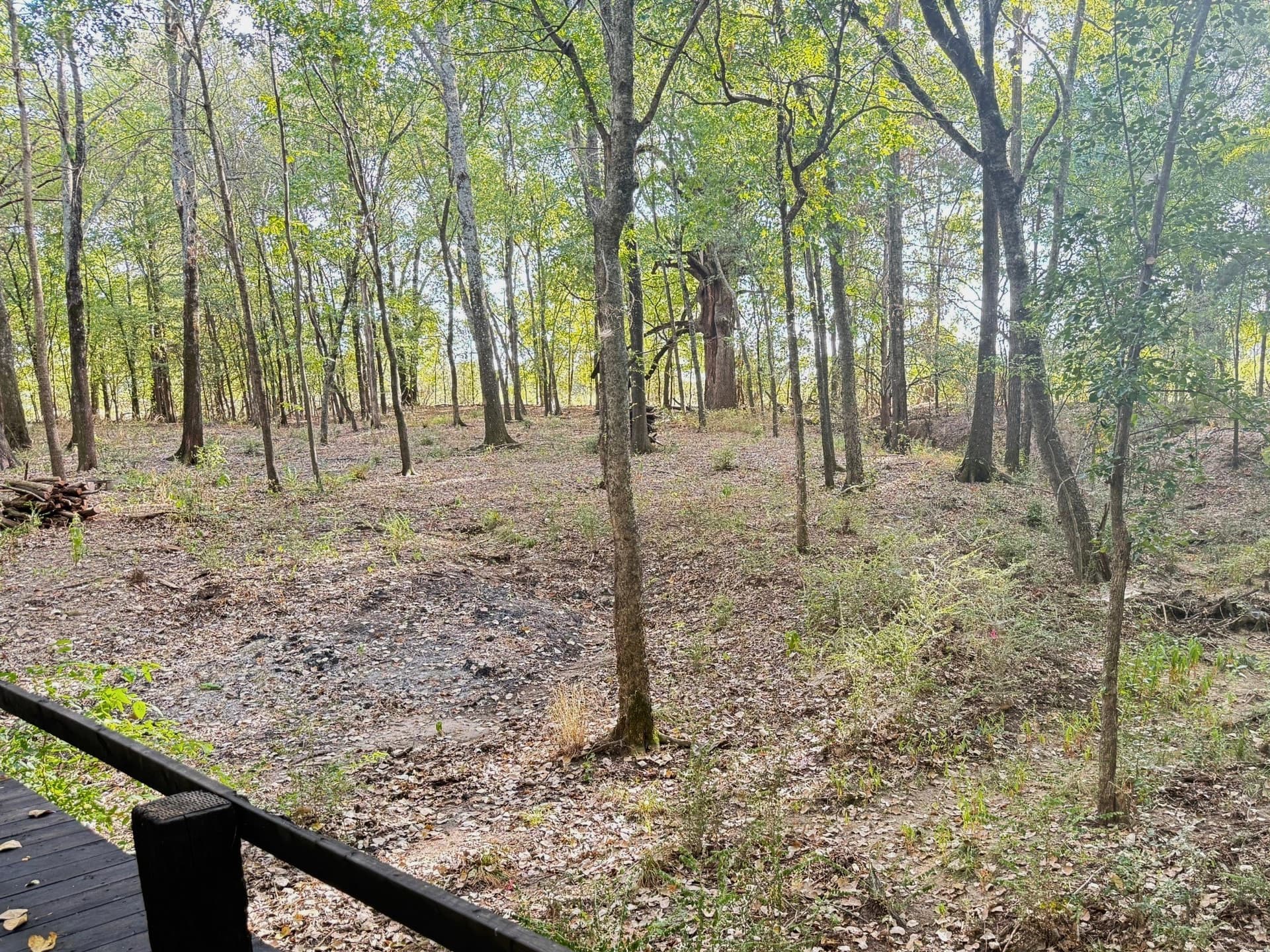 7.85 acres in Delta County - photo 7