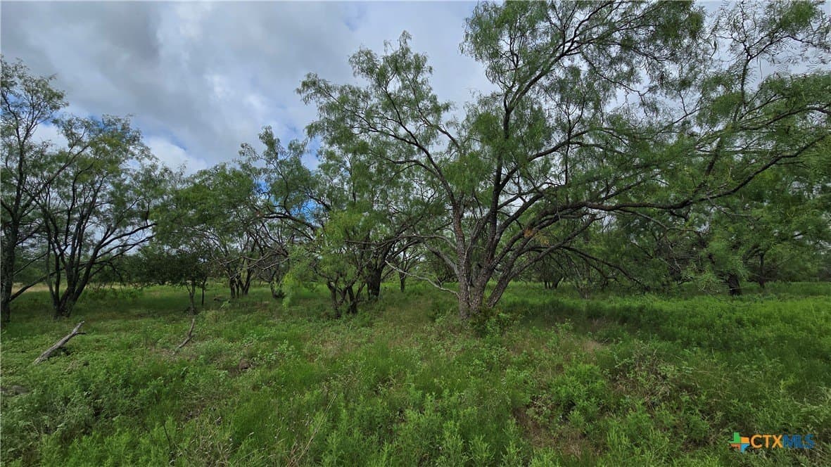 5.13 acres in Coryell County - photo 13