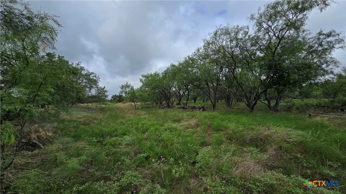 5.13 acres in Coryell County - photo 11