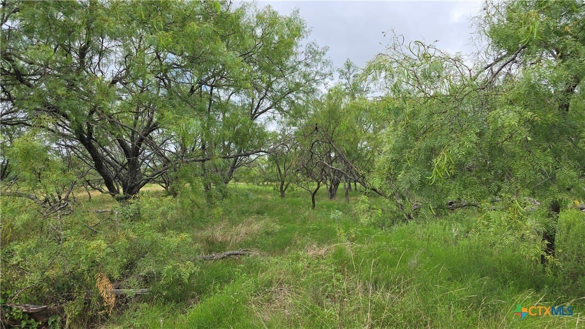 5.13 acres in Coryell County - photo 12