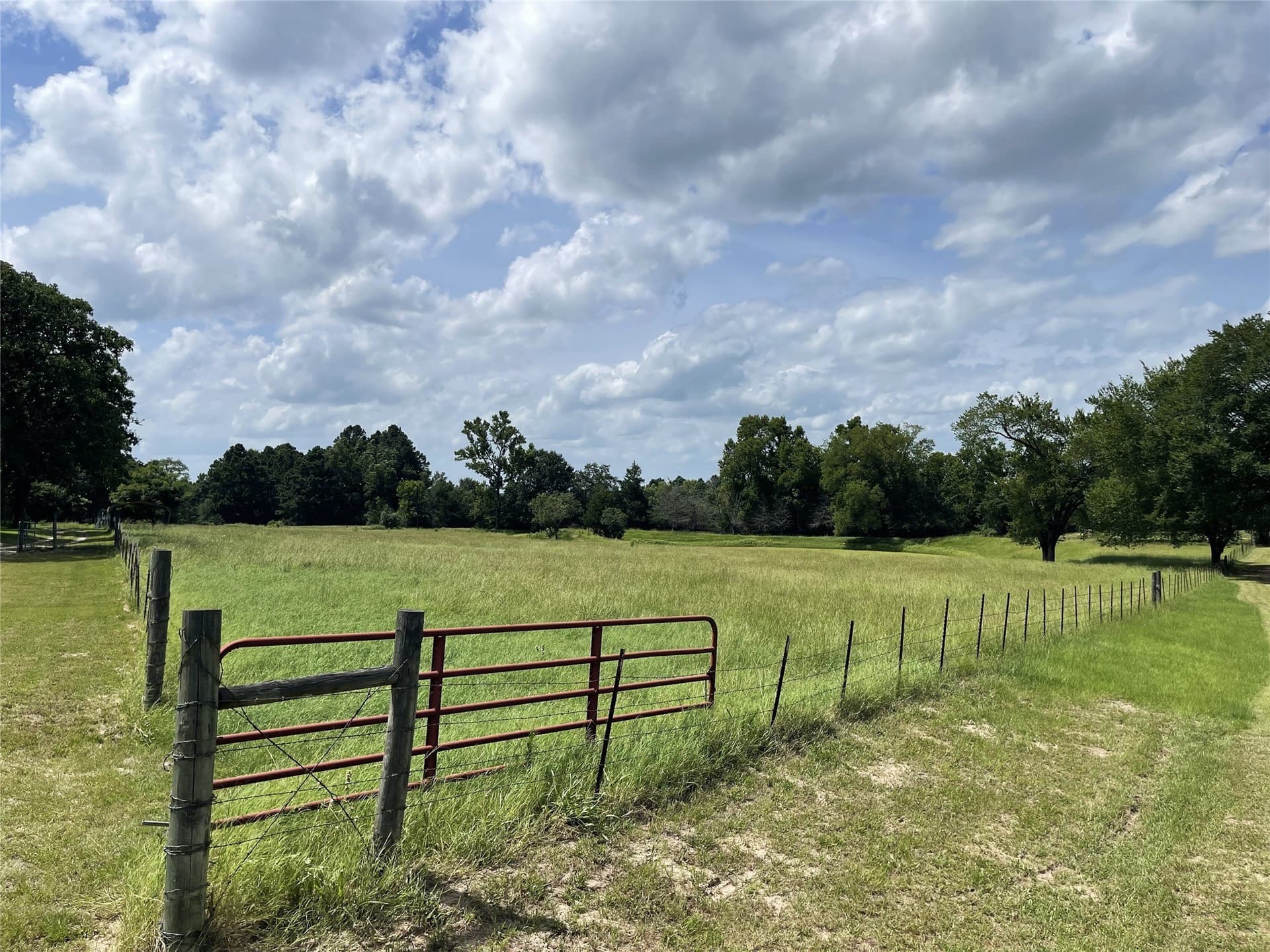 10.96 acres in Freestone County - photo 38